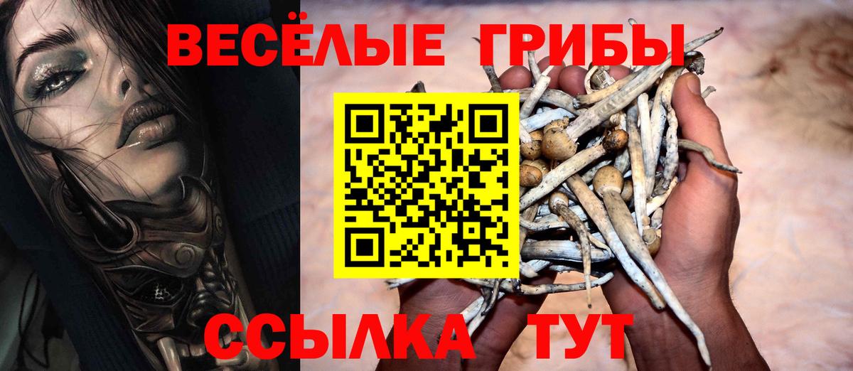 Ангарск  Псилоцибиновые грибы Psilocybe  Вход с VPN 